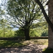 esterno
